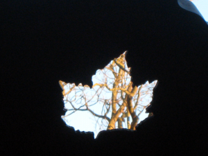 Sculpture "Plane Tree"